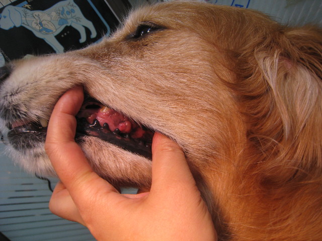 ファイル 829-1.jpg