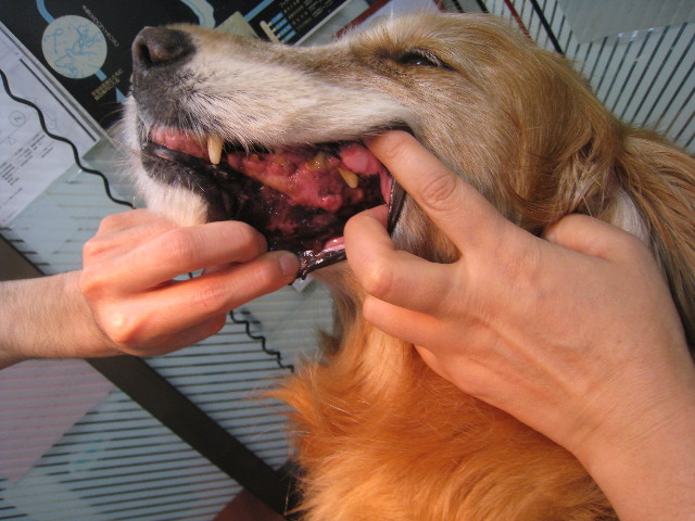 ファイル 829-2.jpg