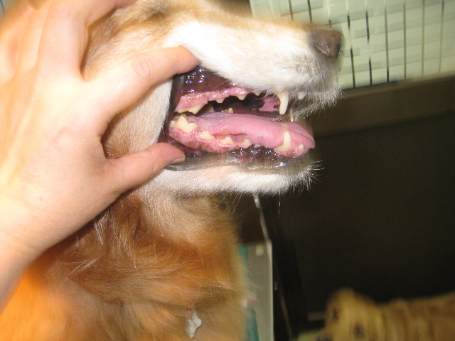 ファイル 829-3.jpg