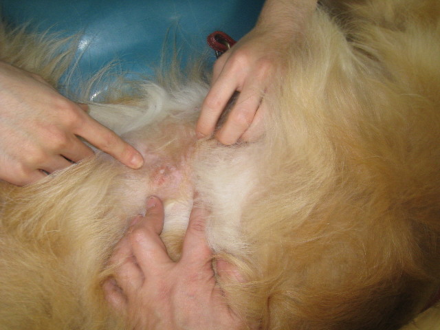 ファイル 829-4.jpg