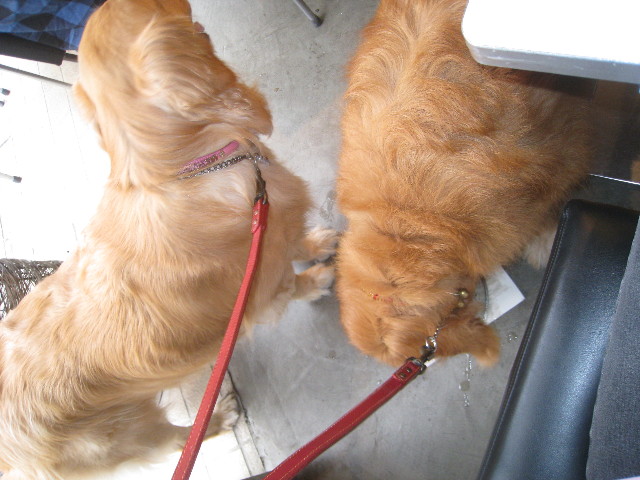 ファイル 829-5.jpg