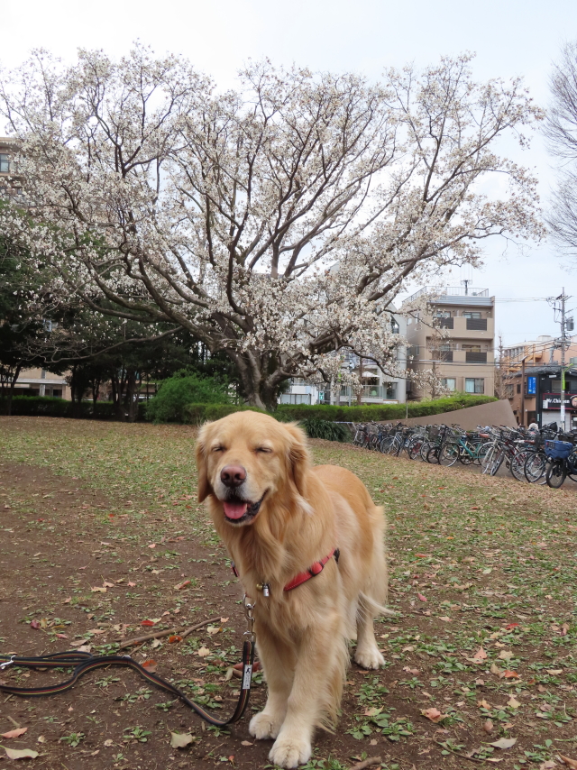 ファイル 8290-3.jpg