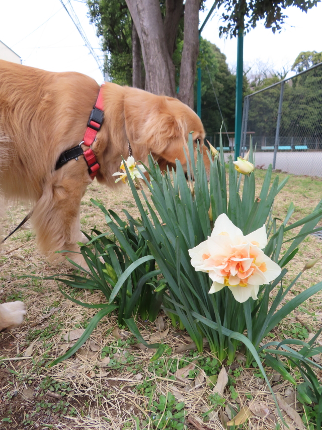 ファイル 8290-5.jpg