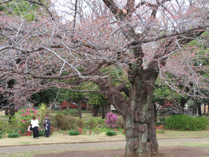 ファイル 8291-1.jpg