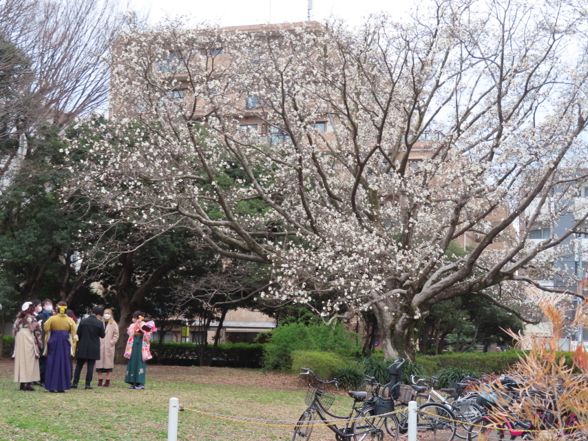 ファイル 8291-2.jpg