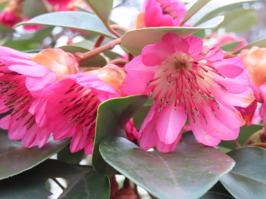 ファイル 8291-4.jpg