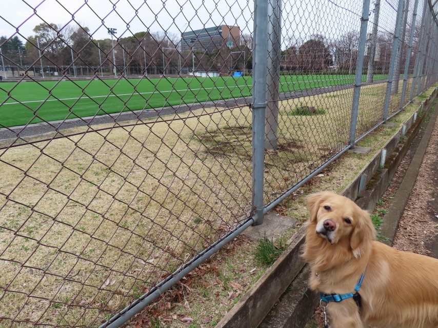 ファイル 8291-5.jpg