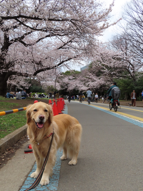 ファイル 8292-4.jpg