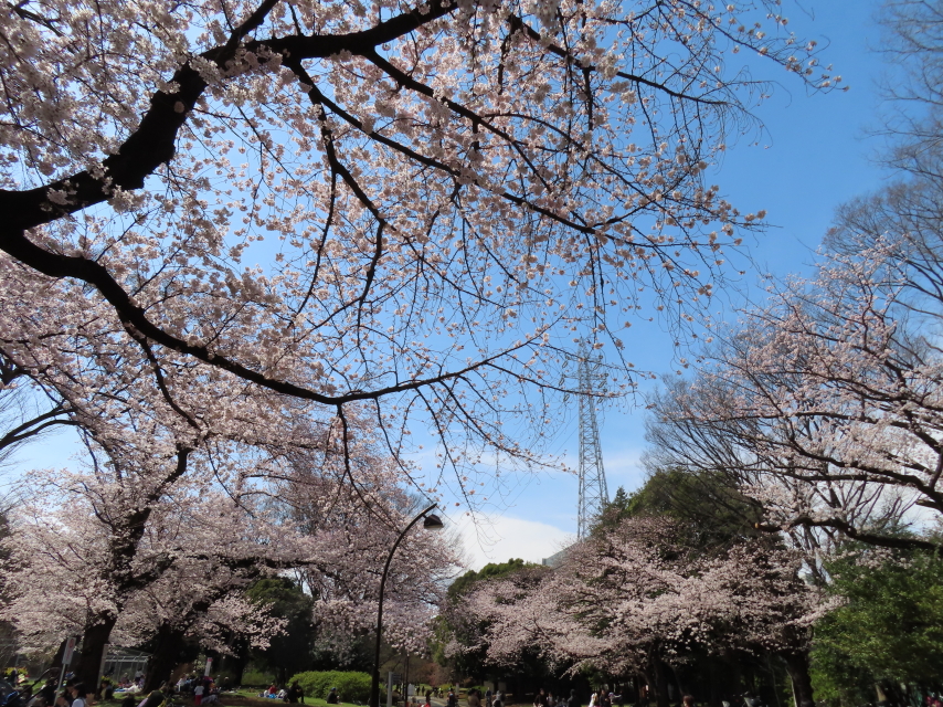 ファイル 8293-5.jpg