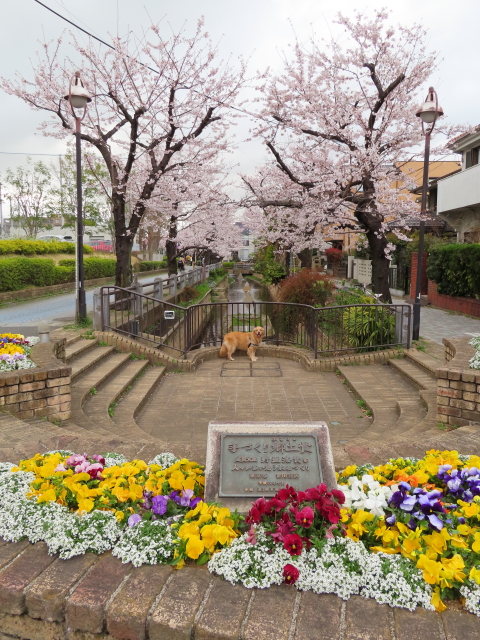 ファイル 8294-3.jpg