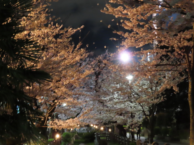 ファイル 8294-5.jpg