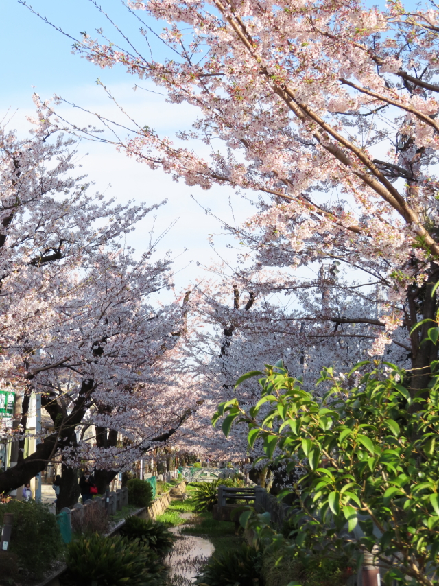 ファイル 8295-1.jpg