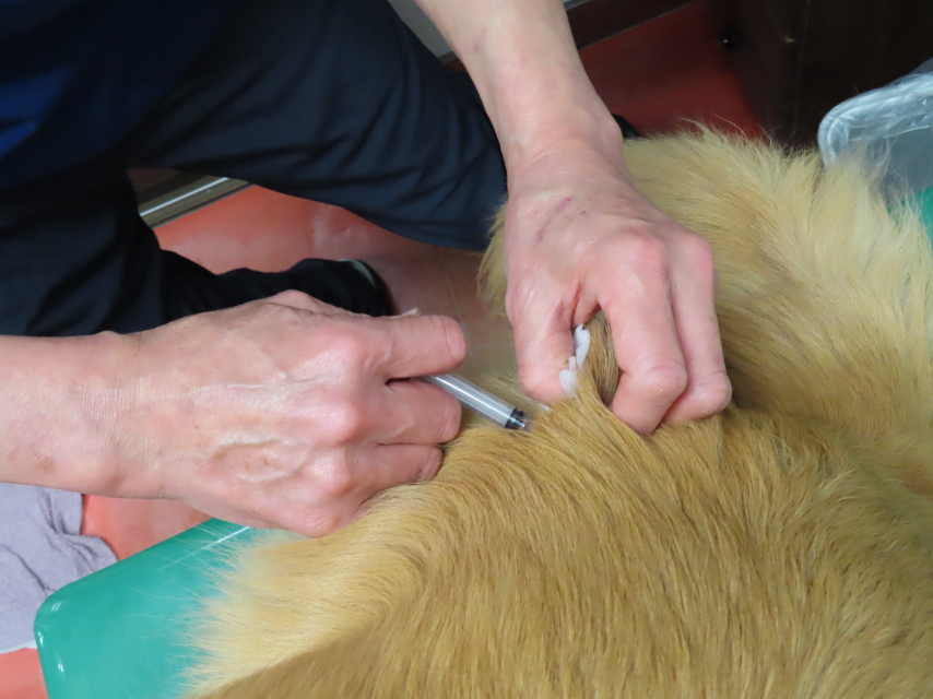 ファイル 8295-2.jpg