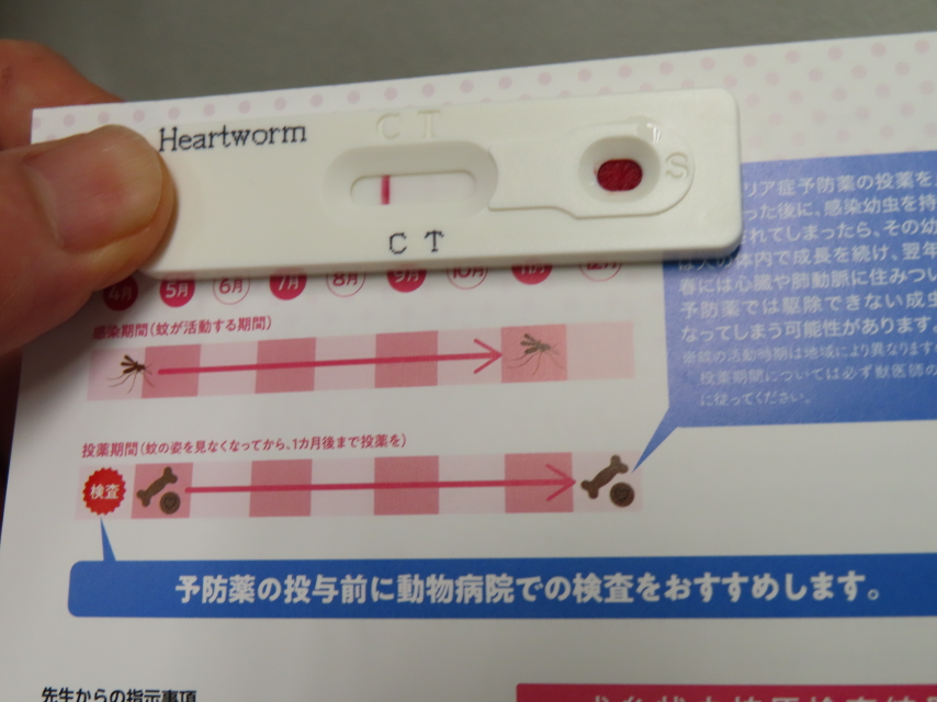 ファイル 8295-3.jpg