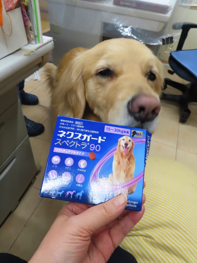 ファイル 8295-4.jpg