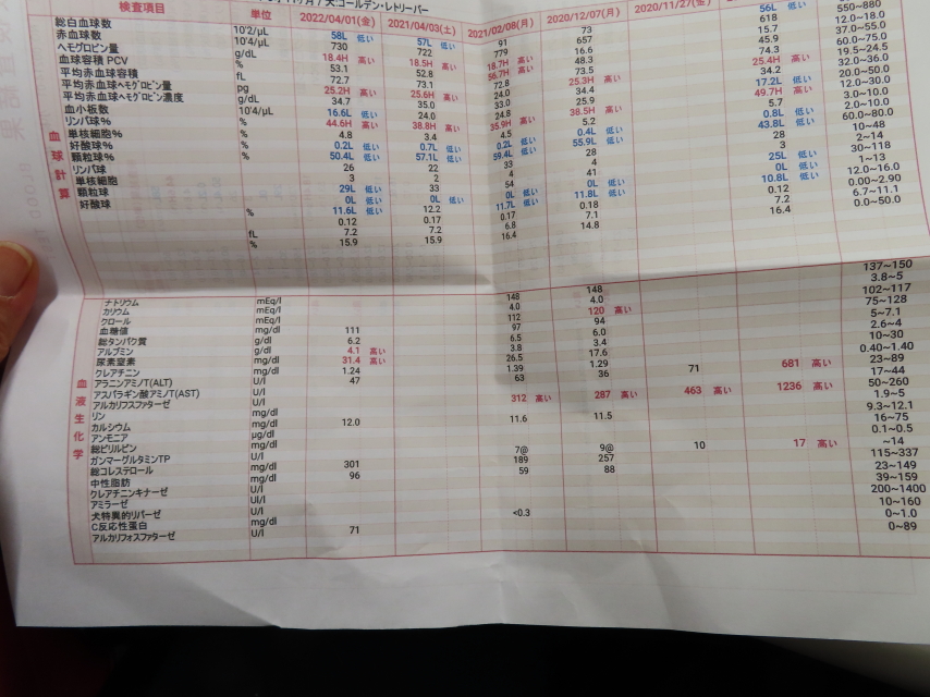 ファイル 8295-5.jpg