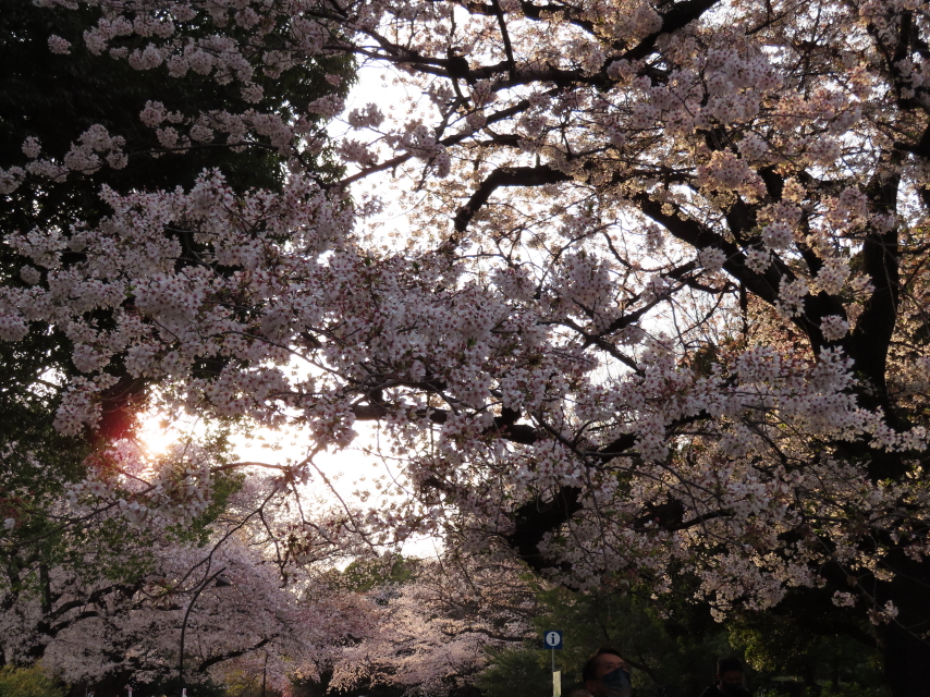 ファイル 8297-4.jpg