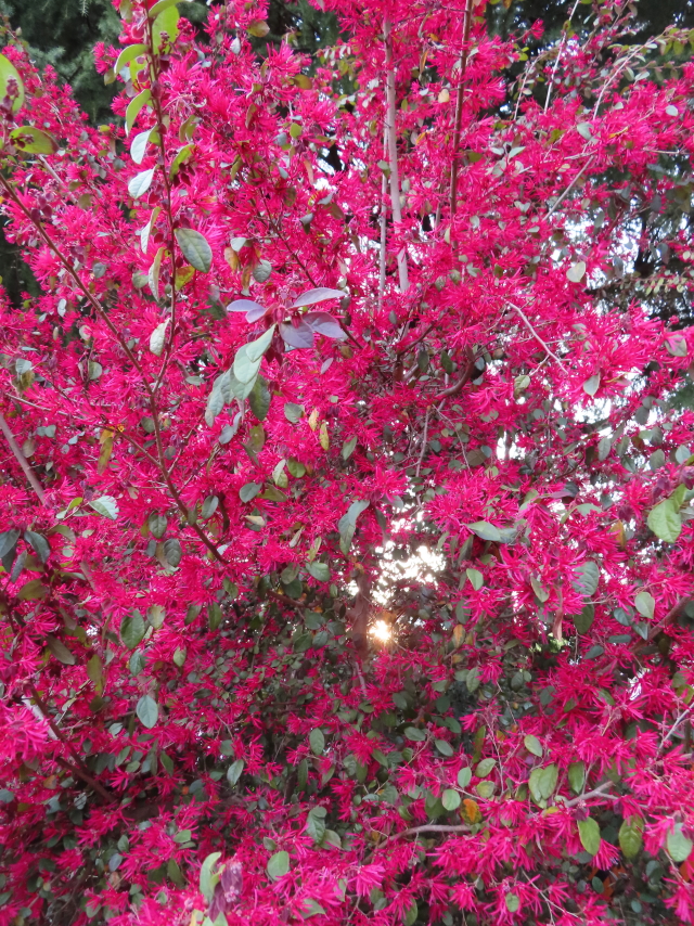 ファイル 8298-3.jpg