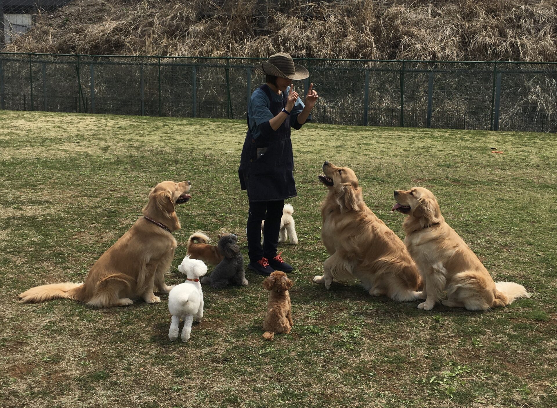 ファイル 8299-1.jpeg