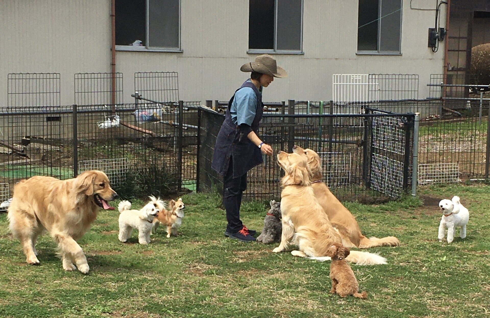 ファイル 8299-2.jpeg