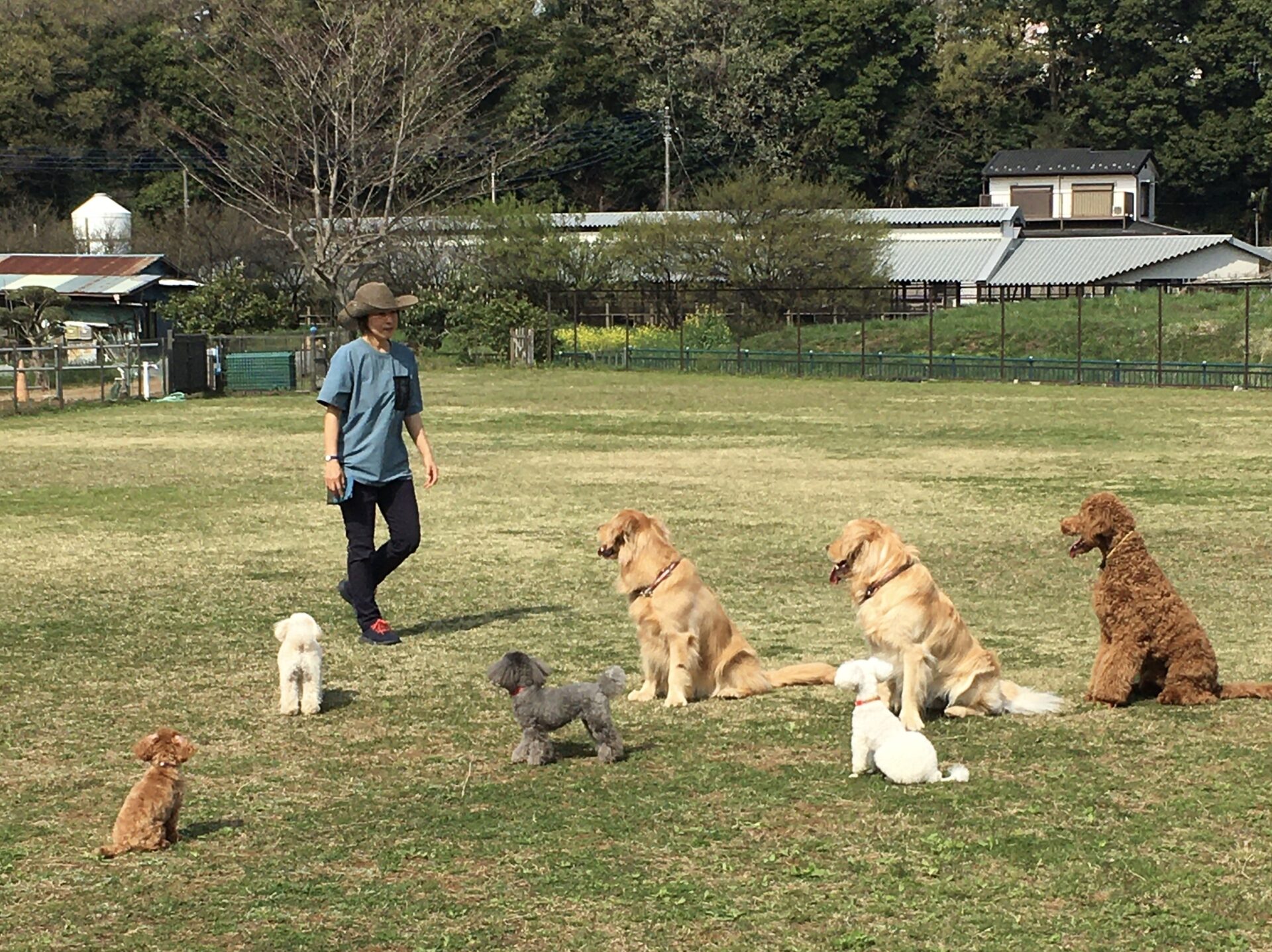 ファイル 8299-3.jpeg