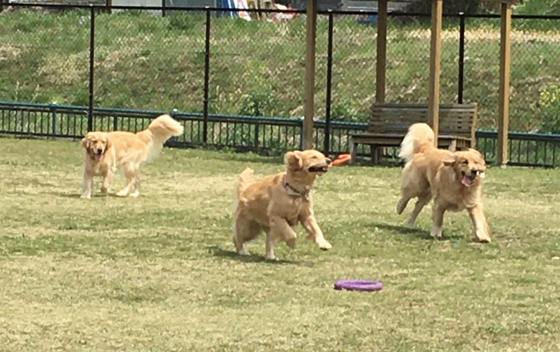 ファイル 8299-5.jpeg