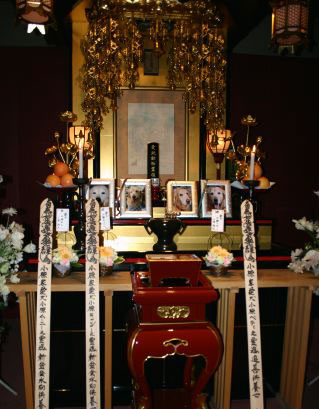 ファイル 83-1.jpg