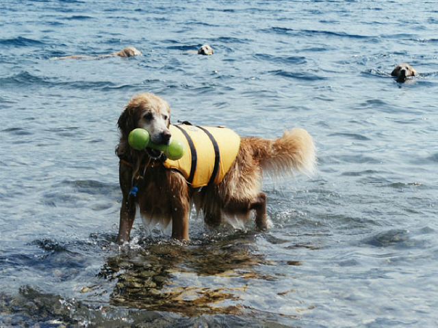 ファイル 83-5.jpg