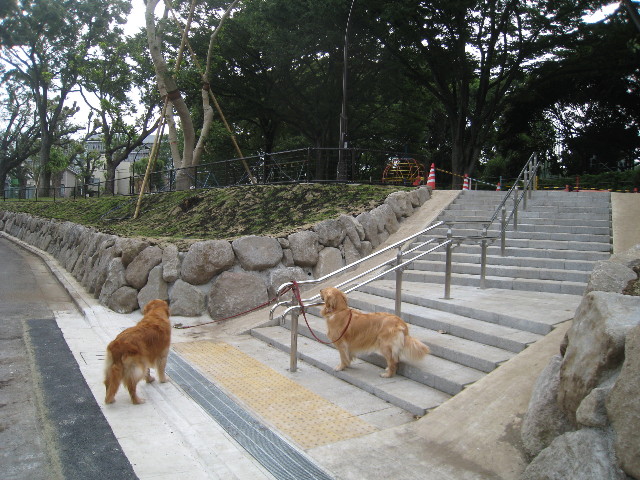 ファイル 830-3.jpg