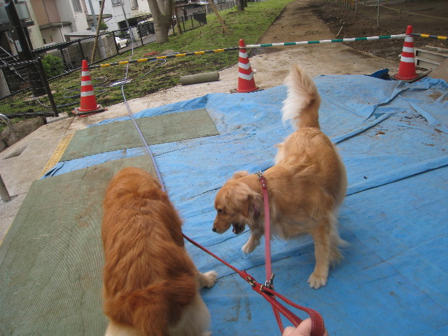 ファイル 830-4.jpg