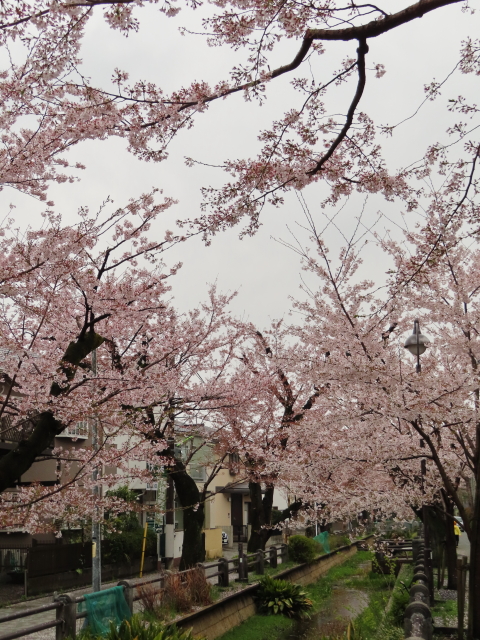 ファイル 8300-3.jpg