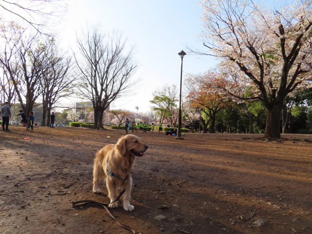 ファイル 8302-2.jpg