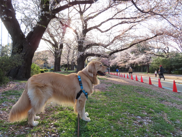 ファイル 8302-4.jpg