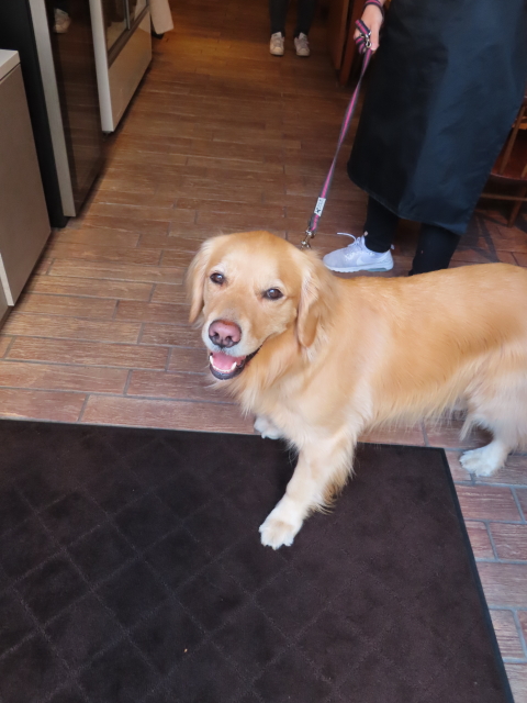 ファイル 8304-1.jpg