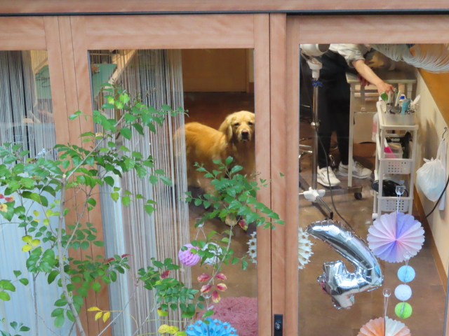 ファイル 8304-2.jpg