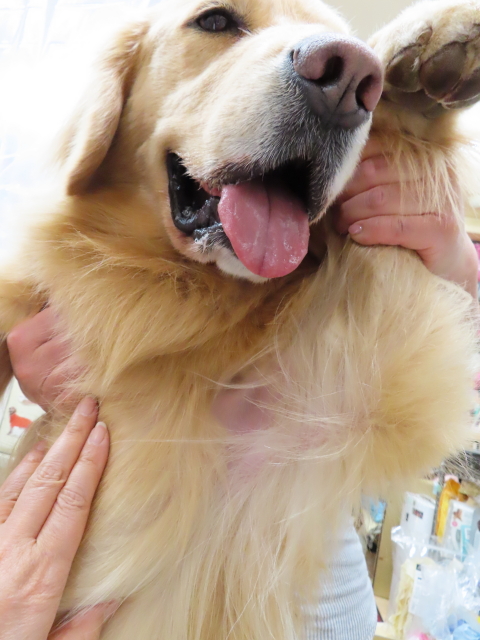 ファイル 8304-4.jpg