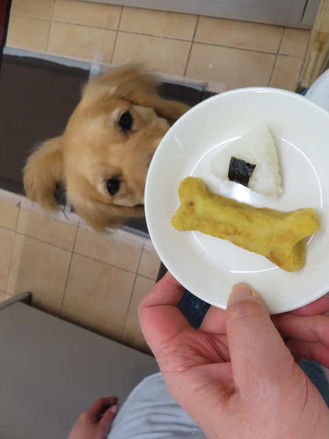 ファイル 8304-5.jpg