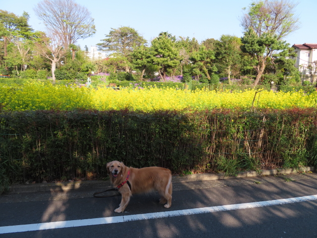 ファイル 8305-3.jpg