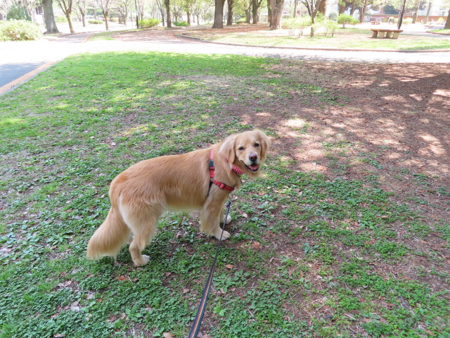 ファイル 8307-1.jpg