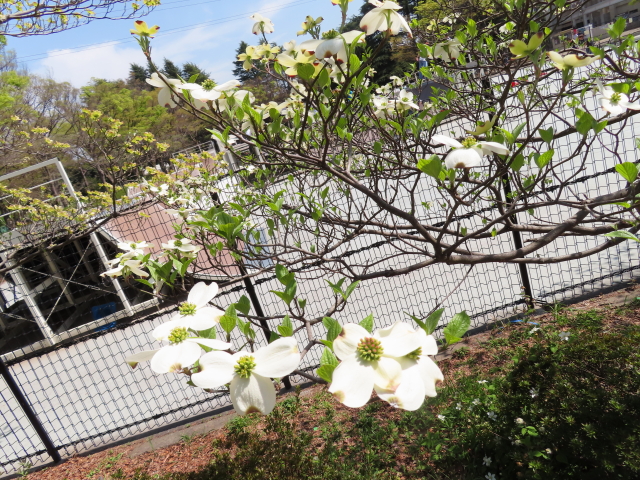 ファイル 8307-2.jpg