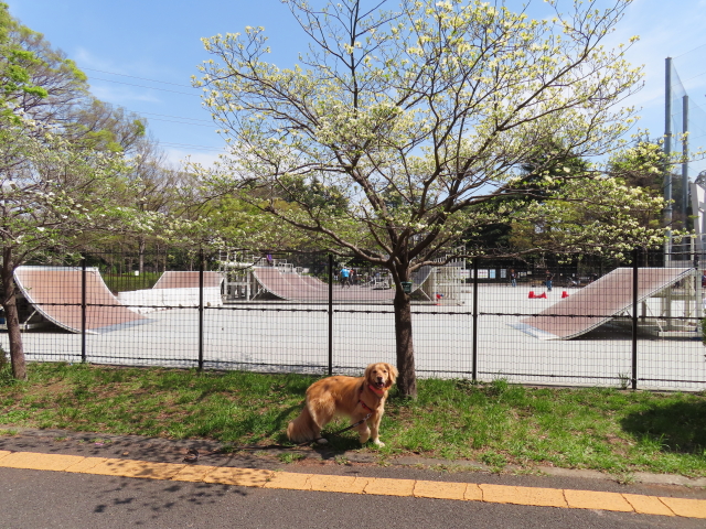 ファイル 8307-3.jpg