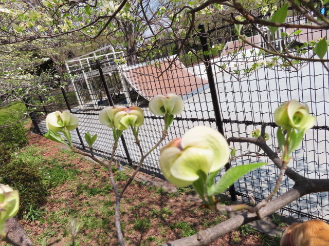 ファイル 8307-4.jpg