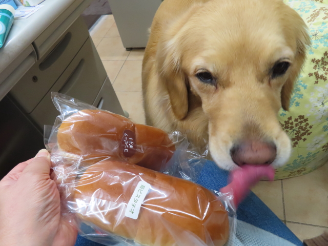 ファイル 8307-5.jpg