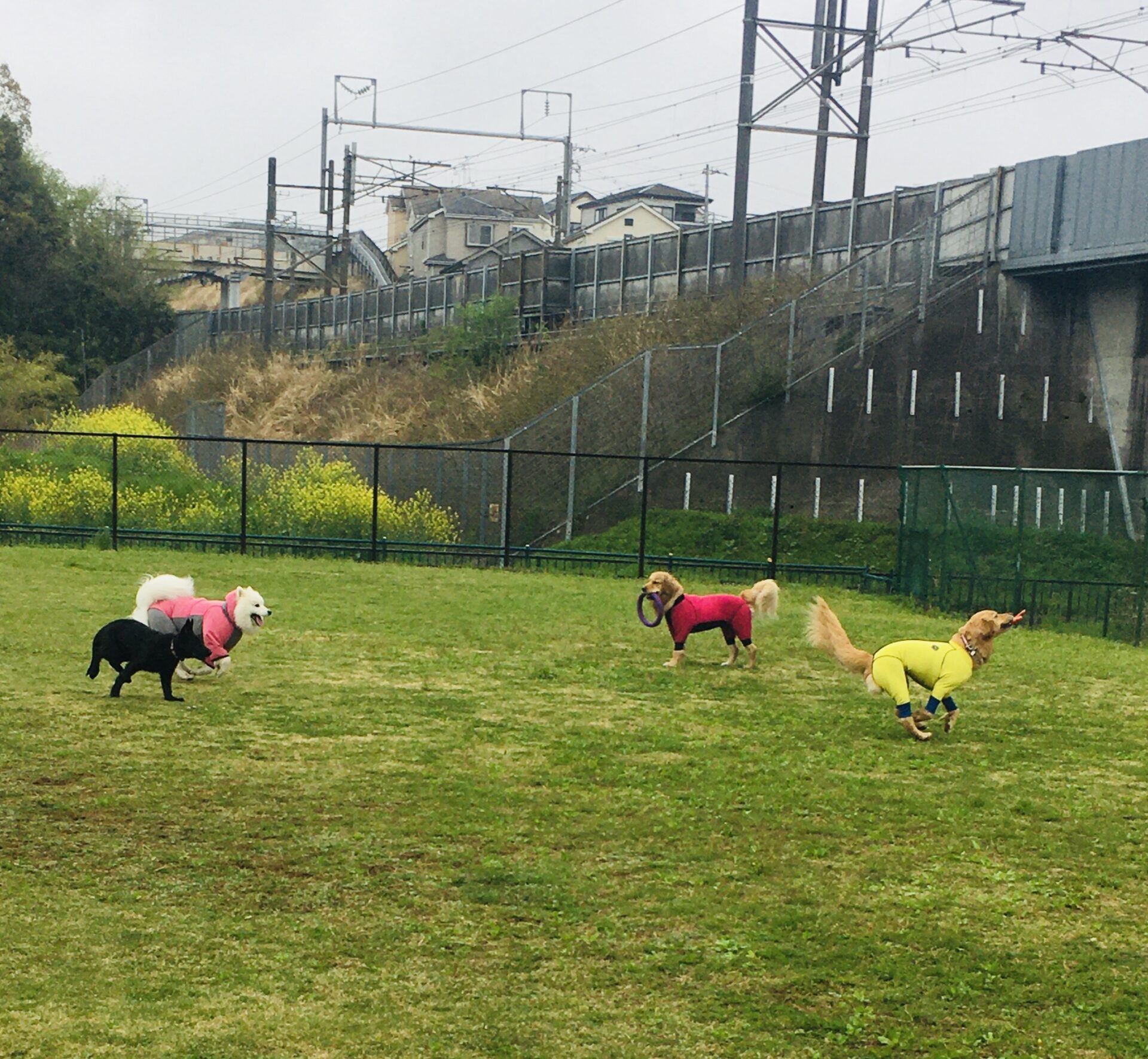 ファイル 8308-3.jpeg