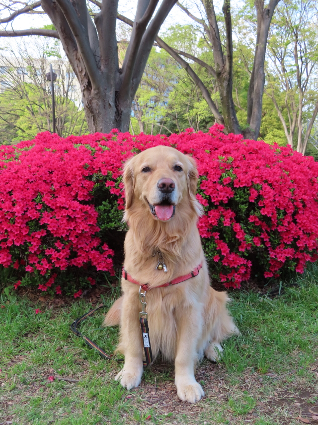 ファイル 8309-3.jpg