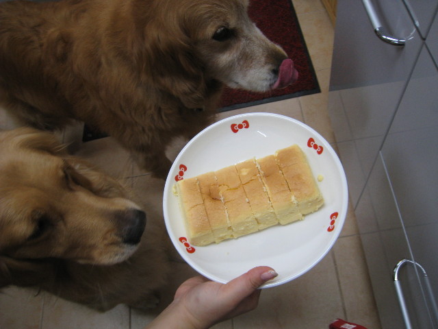 ファイル 831-1.jpg