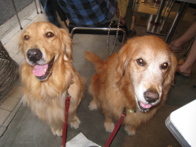 ファイル 831-3.jpg