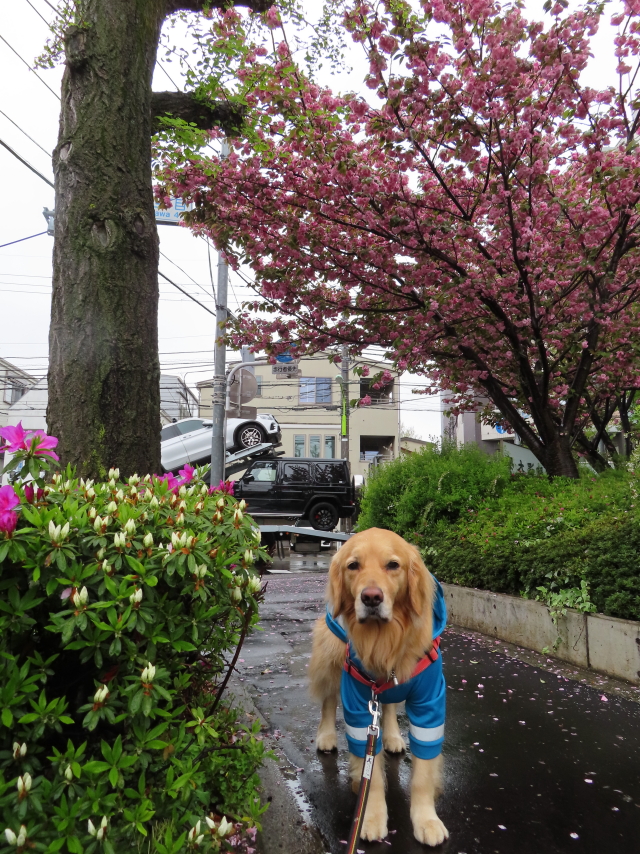 ファイル 8311-5.jpg