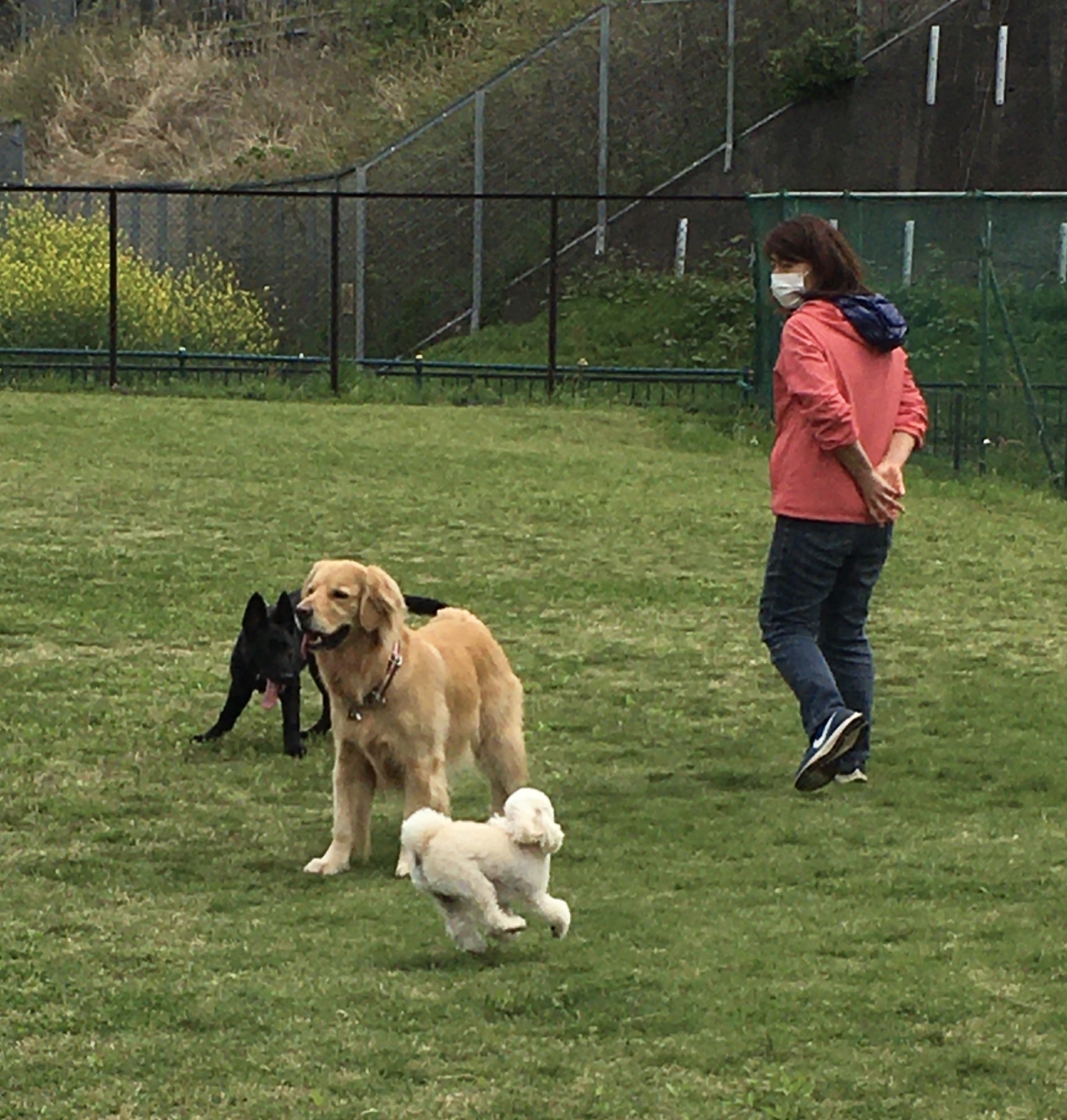 ファイル 8314-2.jpeg