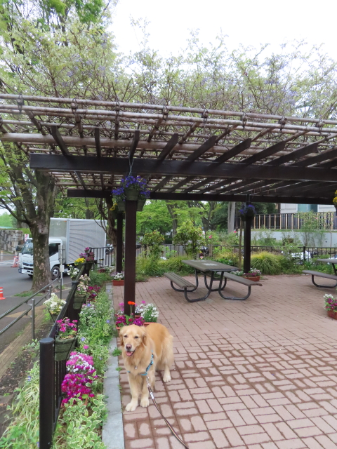 ファイル 8315-3.jpg